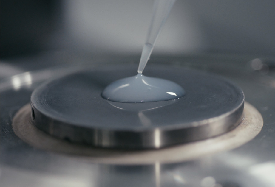 Cellulose fibre loaded onto a rheometer disc