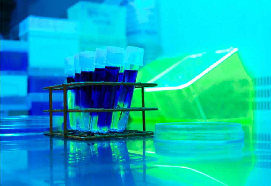 Samples in test tubes on a lab bench